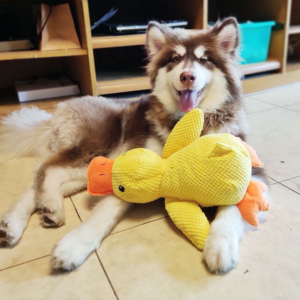 Calming Squeaky Duck Toy for Dogs, Anxiety Relief Chew and Play Toy