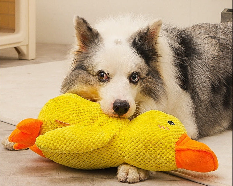 Calming Squeaky Duck Toy for Dogs, Anxiety Relief Chew and Play Toy